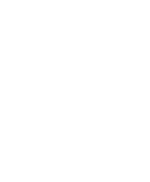 decoration logo